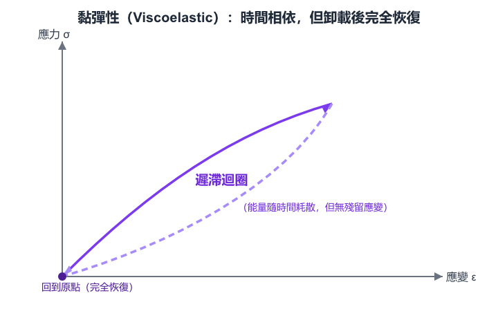 黏彈性（Viscoelastic）：時間相依，但卸載後完全恢復